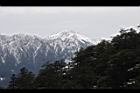 1050329合歡山474.JPG