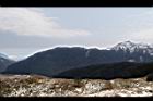 1050329合歡山477.JPG