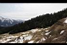 1050329合歡山479.JPG