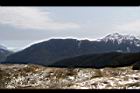 1050329合歡山480.JPG