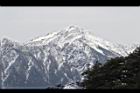 1050329合歡山483.JPG