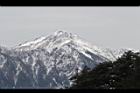 1050329合歡山484.JPG