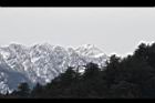 1050329合歡山499.JPG