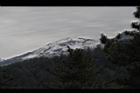 1050329合歡山520.JPG