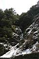 1050329合歡山538.JPG
