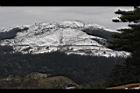 1050329合歡山550.JPG