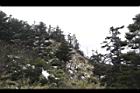1050329合歡山581.JPG
