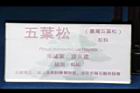 台灣五葉松-盆栽23.JPG