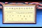 烏柑仔-盆13.JPG