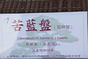 苦林盤100.JPG
