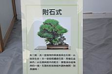 IMG_8400.JPG