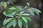真山馬茶4.jpg
