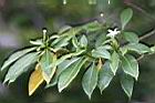 真山馬茶9.jpg