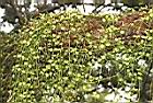 風不動08.JPG