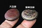 蘭嶼血藤-種子24.JPG