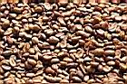 咖啡-豆15.JPG