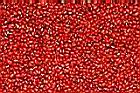 紅豆-種仔3.jpg