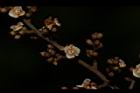 紫珠葉泡花樹-花14.JPG