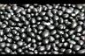 黑豆-種子0.jpg